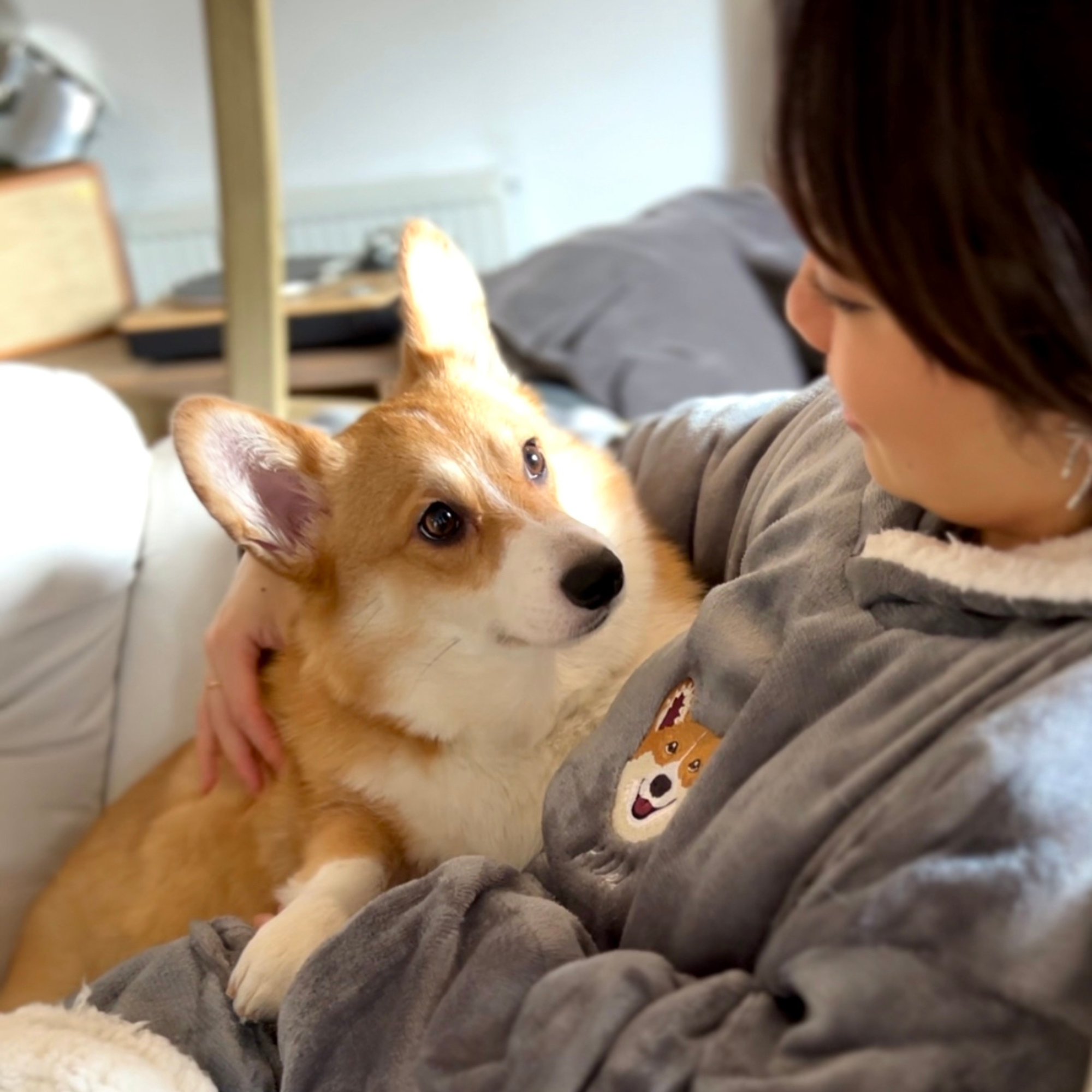 Embroidered Pet Portrait Hooded Blanket