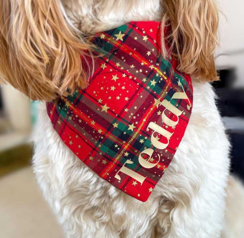 Personalised Christmas pet scarf with iron on name